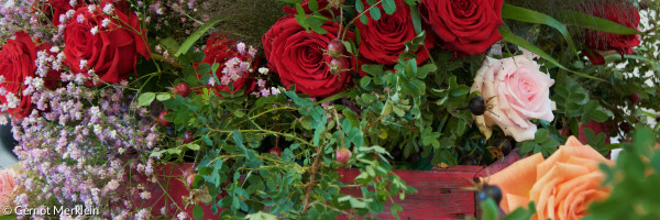 Rosen