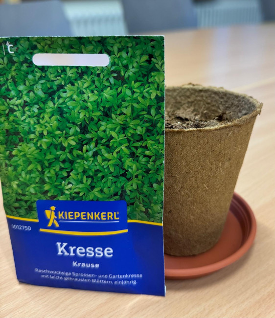 Kressesamen und Blumentopf